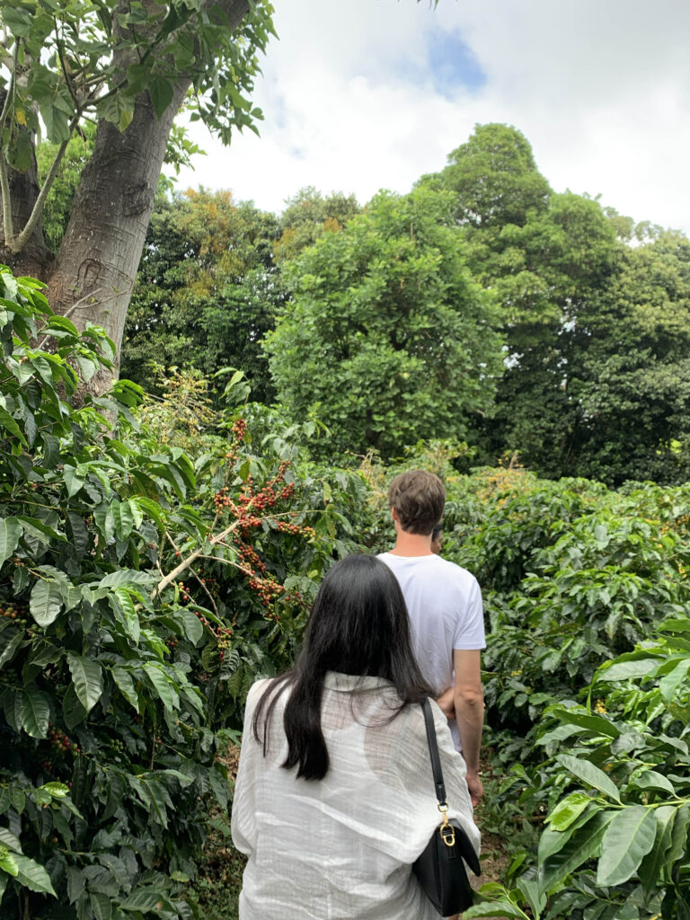 Dieses Bild hat ein leeres Alt-Attribut. Der Dateiname ist IMG_4402-768x1024.jpg